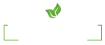 Palm Protect